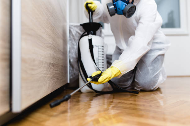 Best Local Pest Control Services  in Start, LA