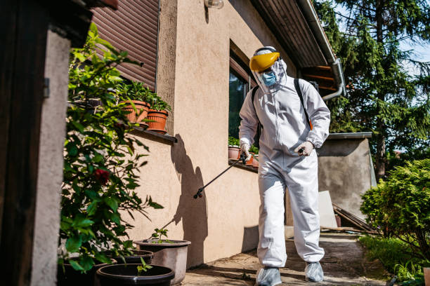  Start, LA Pest Control Pros