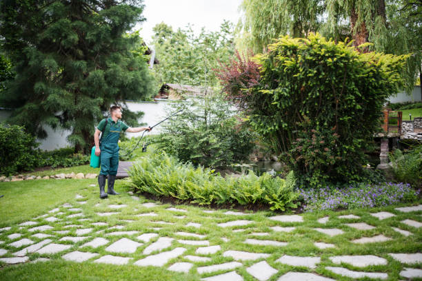 Best Pest Prevention Services  in Start, LA