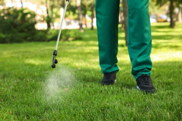Best Best Pest Control Companies  in Start, LA