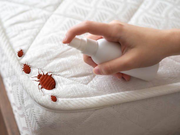 Insect Control in Start, LA