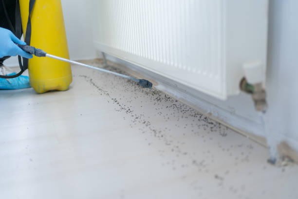 Best Exterminator Services  in Start, LA