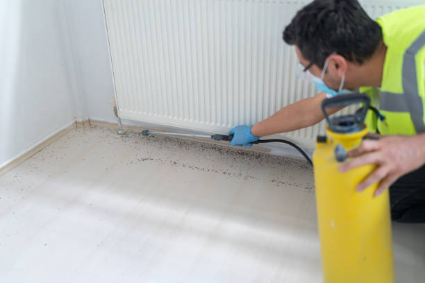 Best Emergency Pest Control  in Start, LA
